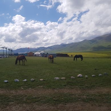 Ahmadjon Madaliyev Profile Picture