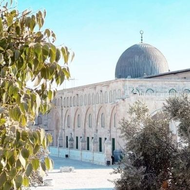 إلهام الحكيم