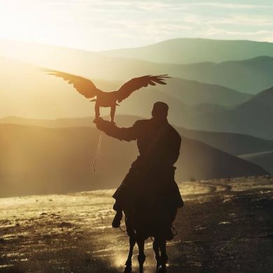 Asadulloh.muslim Profile Picture