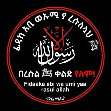 ammed1698391141 Profile Picture