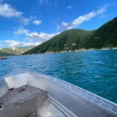 Махмуд Магомедов