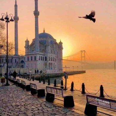 Ummuslim 2001 Profile Picture