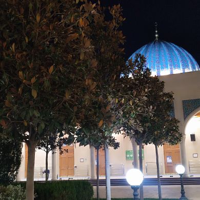 Temurbek Buxarov Profile Picture