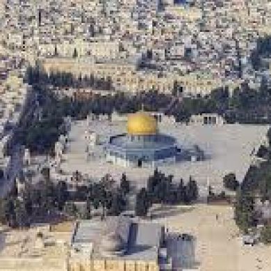 Bo abaidy Profile Picture