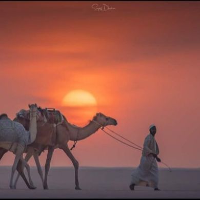 Otabek Ermanov Profile Picture