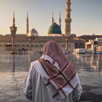 санжар хайтматов Profile Picture