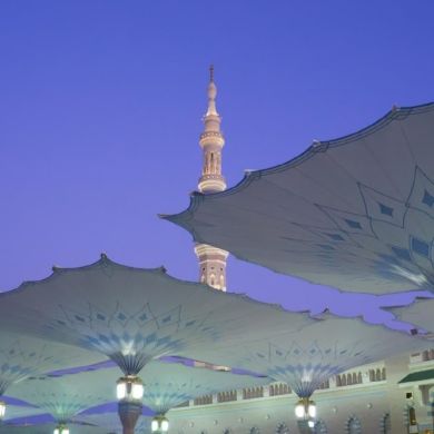 Muhammadsodiq0701 profile picture