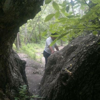 Akbarjon Abdulmajid profile picture