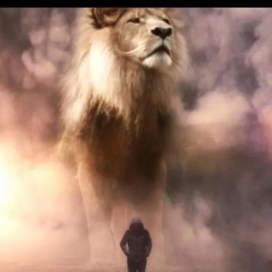 Firdavs Sayfiyev Profile Picture