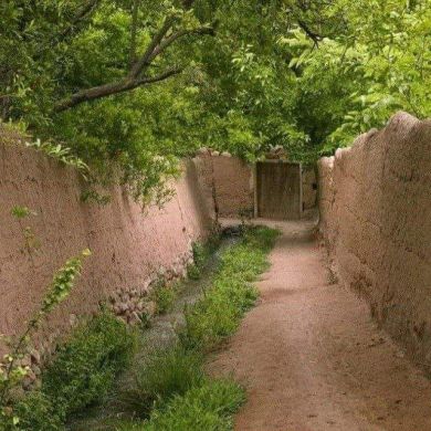 Turk Muslim Profile Picture