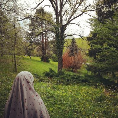 Kalendermesrep Profile Picture