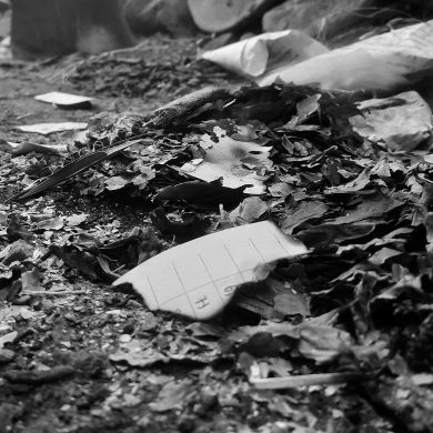 Mihad yimer Profile Picture