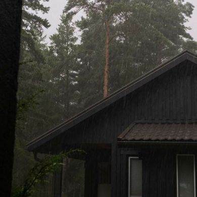 majd hakmi Profile Picture