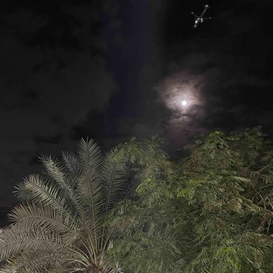 Usarbekov Profile Picture