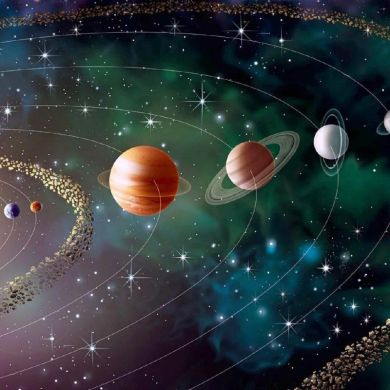 elyor nazirov Profile Picture