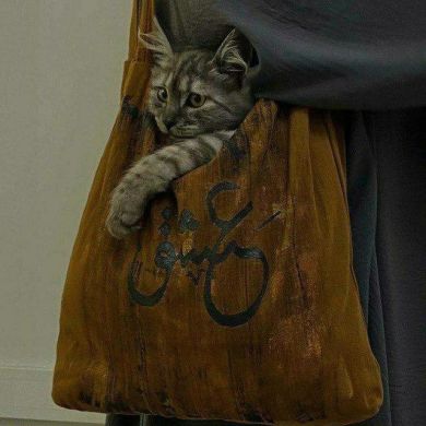 Mirzatillayeva من نفسي Profile Picture