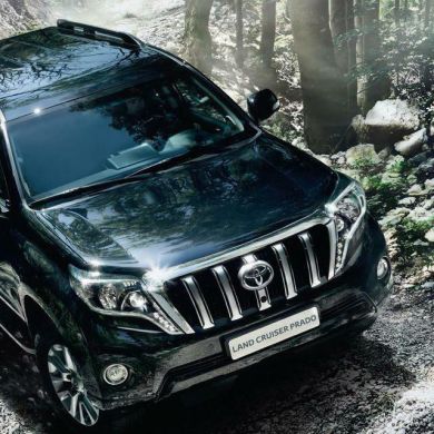 Normuhammad Gaybulloyev Profile Picture