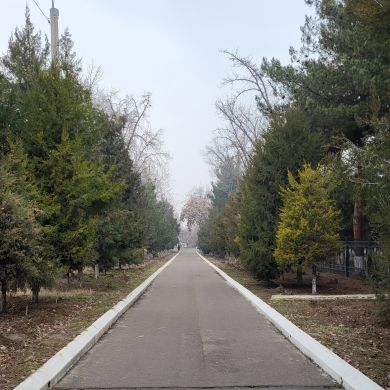 Murodjon Xursanboyev