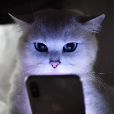 Izzatilla Õktamboyev