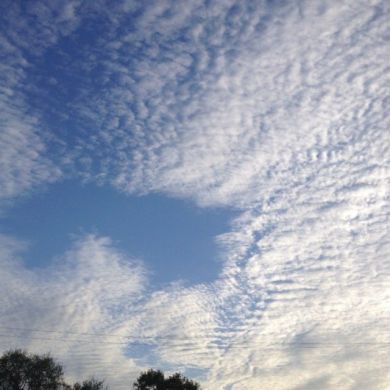 Tohir Shomirzaev Profile Picture