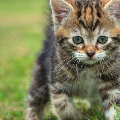 madina hamroyeva Profile Picture