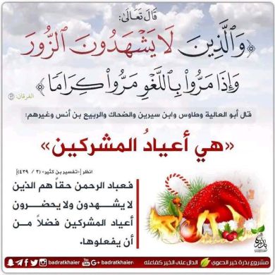 EHAB SHAHEEN Profile Picture