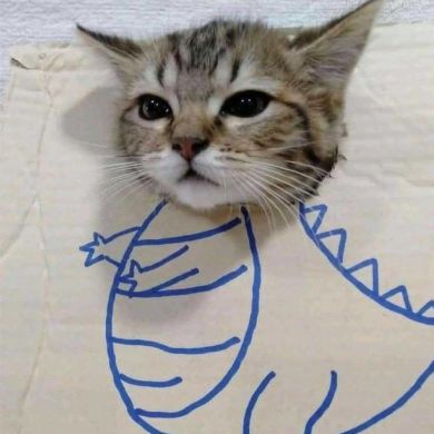 Ali Nasridinov Profile Picture