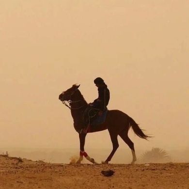 Diyorbek Gozibekov Profile Picture