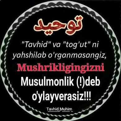 Abu Ali Profile Picture