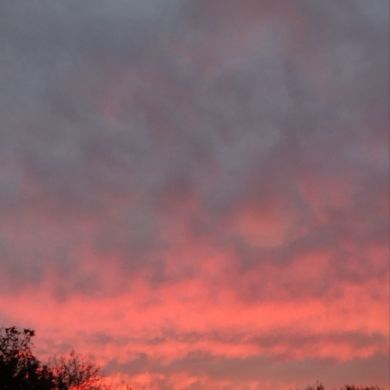 Sherali Anorboyev Profile Picture