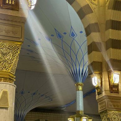 صالح الربيعي