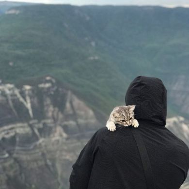 Abu Hurayra Profile Picture