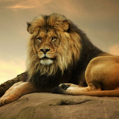 Курбонов Хусрав Profile Picture