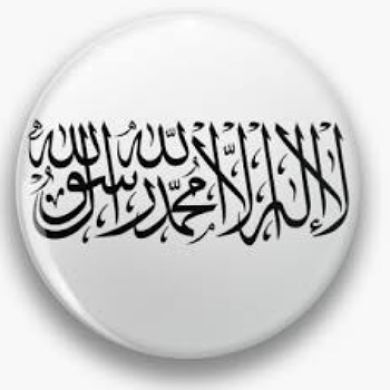 ahmed.313 Profile Picture