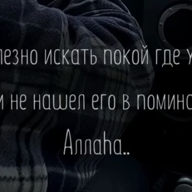 Эльвира А profile picture