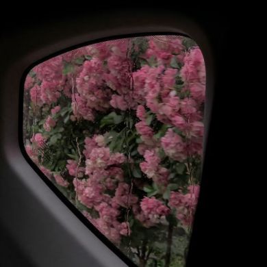 eynunjameela Profile Picture