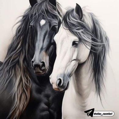 SHarof Isakov Profile Picture