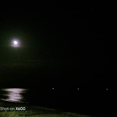 Ruslan  DIBIROV  Profile Picture