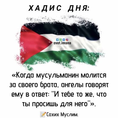 Юсупов Ербулат Profile Picture