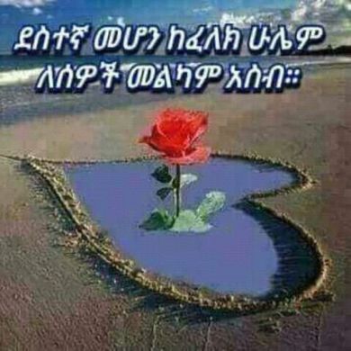 mursela nasir Profile Picture