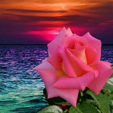 zamira Profile Picture