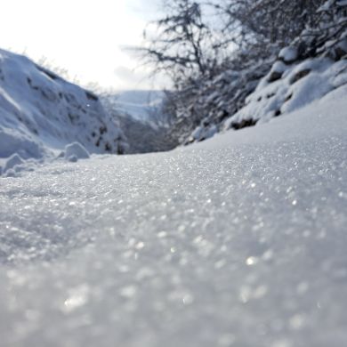 Abduraxmonov Abdumomin