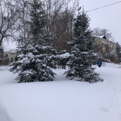 Mubina Ablayarova Profile Picture