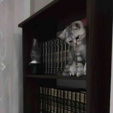 usmonoff Profile Picture