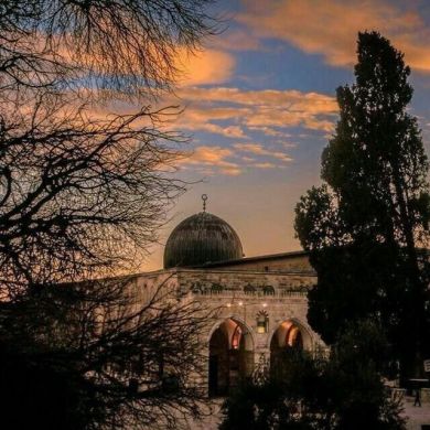 juleybiba one Profile Picture