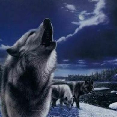 Otabek_Sayfiddinovich