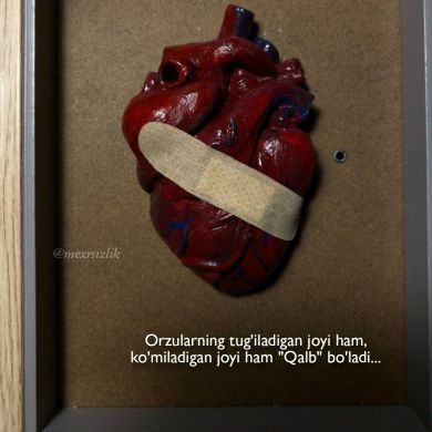 Muhammad Sodiq Profile Picture