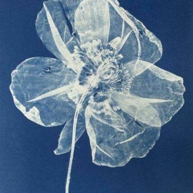 Темирлан Алчаков