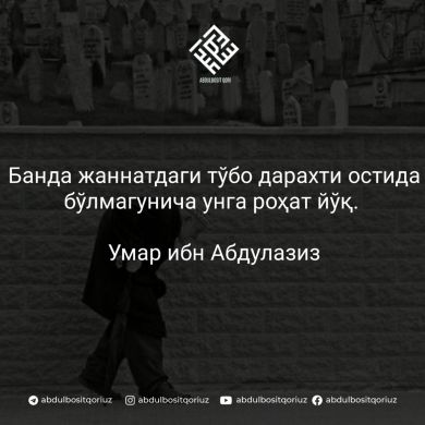 Aliy Qodirov Profile Picture