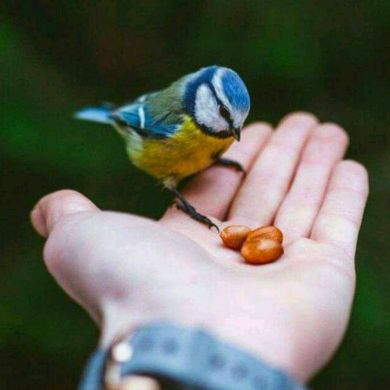 ibni ibni Profile Picture